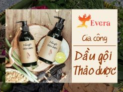 Gia công dầu gội thảo dược - Bắt nhịp xu hướng làm đẹp xanh